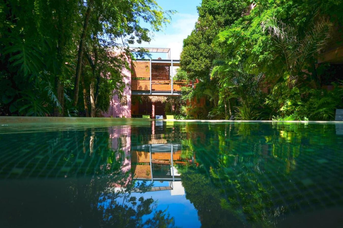 Vibrant 2br In Coolest Location Apartment